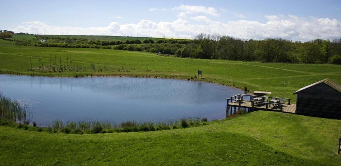 Holiday home The Bay, Filey, Moonshine Filey
